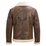 Back View of WWII RAF Aviator Shearling Brown Leather Jacket featuring dark leather seam tape, a plush cream shearling collar, and a matching shearling hem.