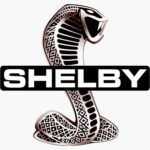 Vintage Shelby Cobra FORD Patch