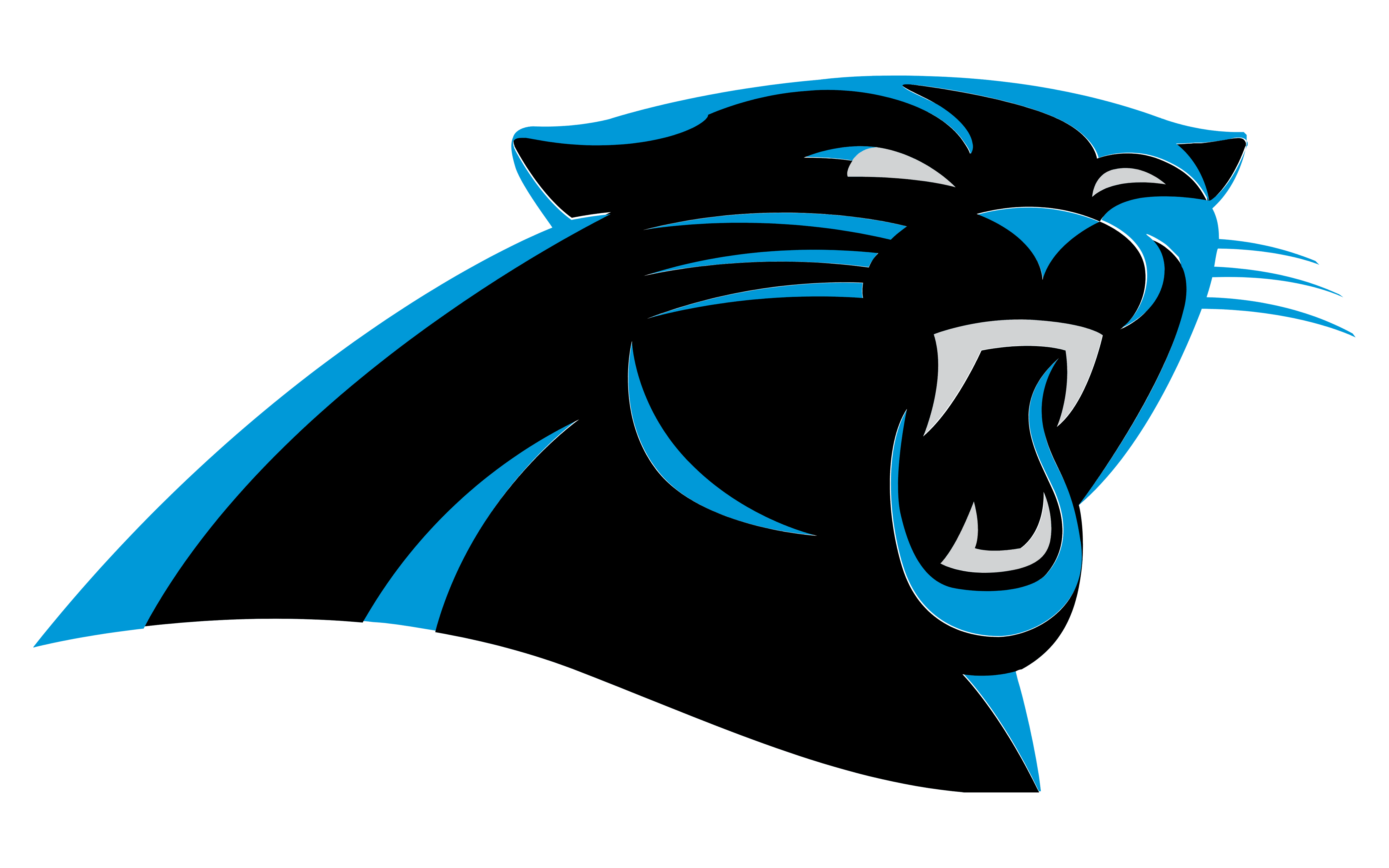 Carolina-Panthers