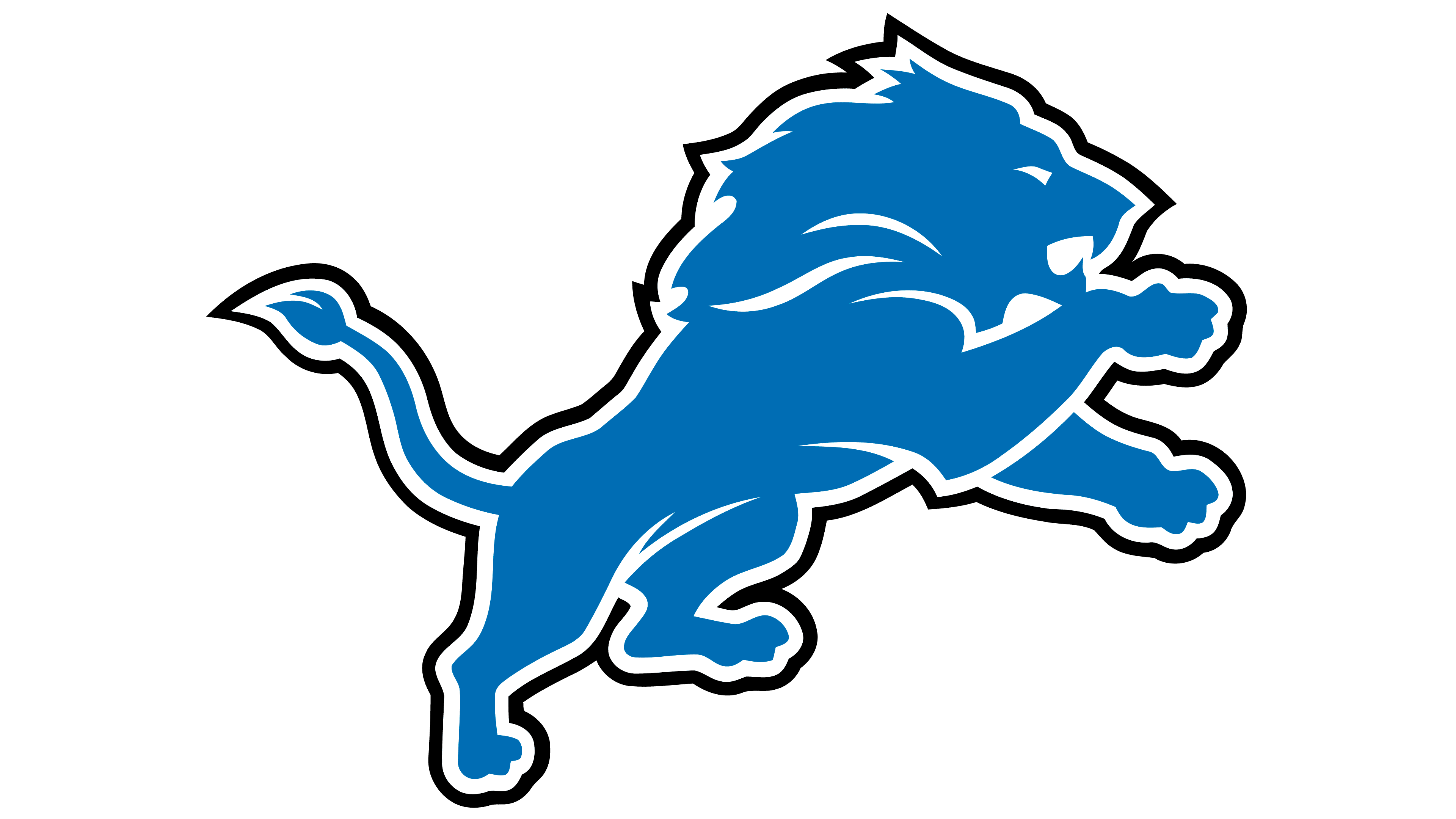 Accessories, Detroit Lions Patch Iron On Nfl Football Team Diy