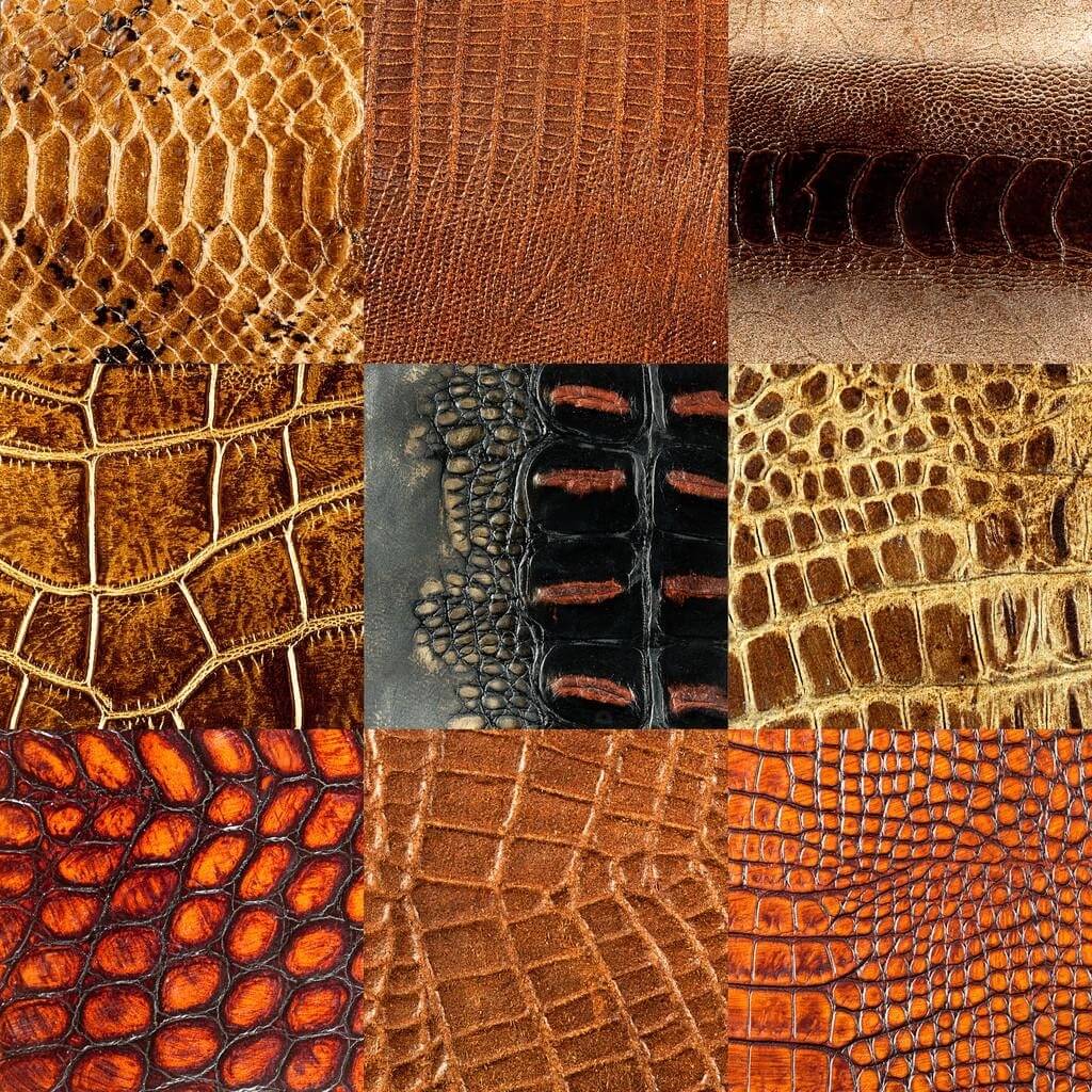 What-Is-Exotic-Leather