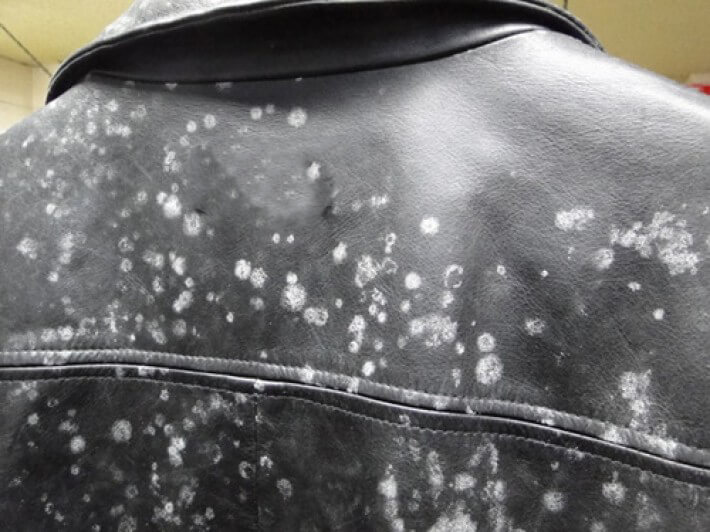 How To Remove Mold From Leather Jackets Maker of Jacket