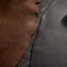 Buffalo and cowhide grain surfaces compared